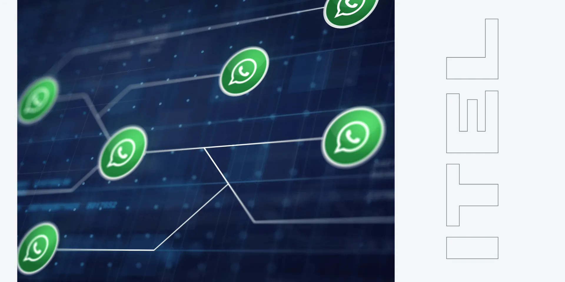 Integración WhatsApp Net2phone Unite: Mejora tu Comunicación Empresarial